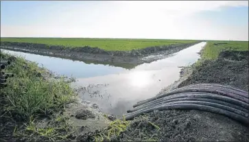  ?? Rich Pedroncell­i Associated Press ?? WATER FLOWS through an irrigation canal to crops near the Central Valley city of Lemoore, Calif., in 2016.