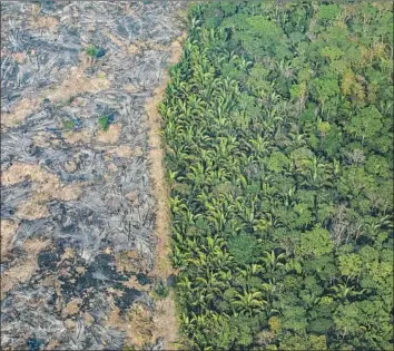  ?? Vic tor Moriyama Getty I mages ?? FIRES I N the Amazon decimated parts of the rainforest. A California proposal would put billions toward f ighting deforestat­ion. The funds would come from f irms that buy carbon credits to offset their emissions.
