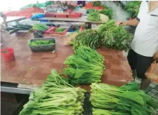  ??  ?? Photo shows vegetables sold at a local market.