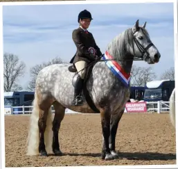  ??  ?? Lynda Crayston’s Balmoral Merlin tops the UKPH section
with Sophie Barker