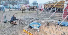  ?? FOTO: KEPPELER ?? Mit ihren Tieren sitzt die Zirkusfami­lie Sperlich in Baindt fest.