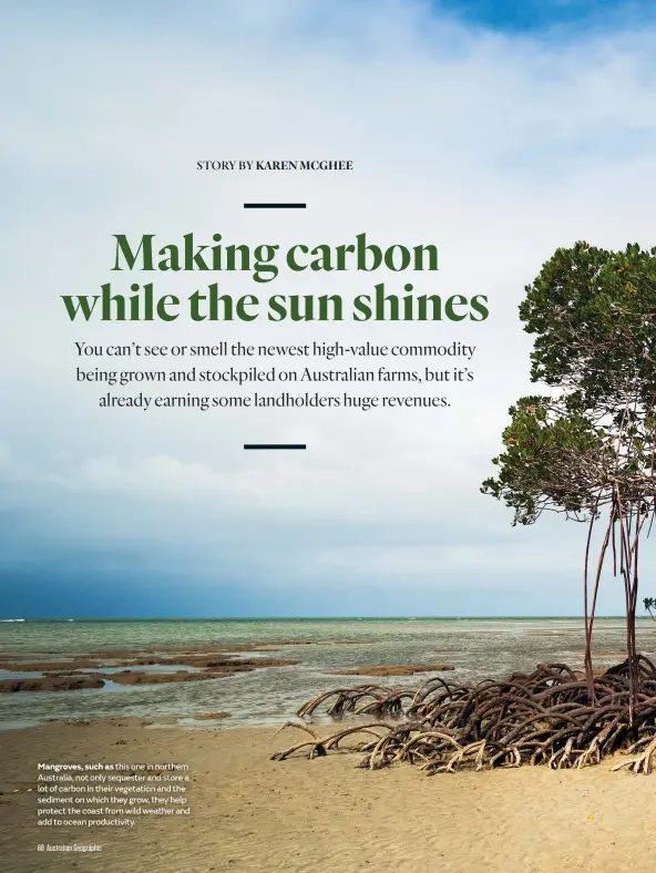  ??  ?? Mangroves, such as this one in northern Australia, not only sequester and store a lot of carbon in their vegetation and the sediment on which they grow, they help protect the coast from wild weather and add to ocean productivi­ty.