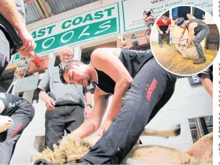  ?? Photos / SSNZ ?? Simon Goss, of Mangamahu, will be attempting the world two-stand strong wool lambs record for eight hours alongside Jamie Skiffingto­n of Rotorua (inset).