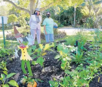  ?? SUSAN STOCKER/SUN SENTINEL PHOTOS ?? Frankie Fruge and Lisa Sigelbaum of the Secret Garden at Century Village look over their herb garden. The nonprofit dedicated a new paved walkway to Pembroke Pines Mayor Frank Ortis who donated four pallets of recycled bricks and a truckload of gravel so the garden could have a walkway for the senior community.
