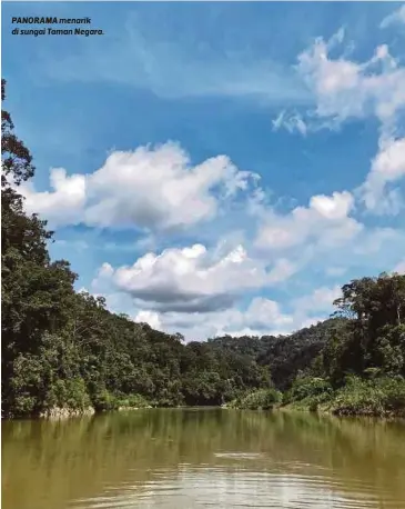  ??  ?? PANORAMA menarik di sungai Taman Negara.