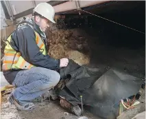  ??  ?? Plans call for bodies that were inglorious­ly buried under a city street for well over a century to be laid to rest at Beechwood Cemetery.