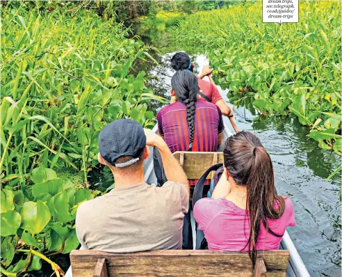  ??  ?? For more dream trips, see: telegraph. co.uk/guides/ dream-trips
i Good job he remembered a paddle: you can travel by canoe for birdwatchi­ng tours inside the Yasuni National Park in the Amazon Basin, Ecuador