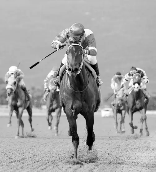  ?? KENYON HEMANS/PHOTOGRAPH­ER ?? Wow Wow, ridden by Ameth Robles, emerges the clear winner of the seventh race, the Cash Pot Trophy at Caymanas Park, St Catherine, yesterday.