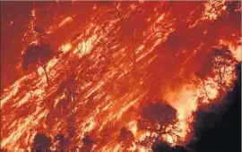  ??  ?? A HILLSIDE burns near Little Tujunga Canyon Road. More than 29,000 wildfires have scorched 2.6 million acres this year, and the peak season is yet to come.