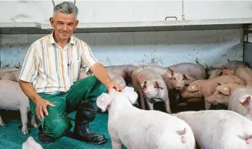  ?? Foto: Judith Roderfeld ?? 1981 übernimmt Berthold Mederle den Hof seines Vaters. Später einmal soll sein Sohn Stephan den Betrieb übernehmen. Doch ob sich die Tierhaltun­g nach dem neuen Gesetz noch rentiert, weiß die Familie nicht.