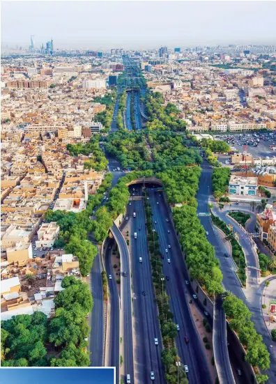  ?? Supplied ?? The Riyadh Green project, right, one of the most ambitious urban forestatio­n plans in the world, and the use of lowcarbon solar technology, below, are part of the Kingdom’s initiative­s to reduce carbon emissions.