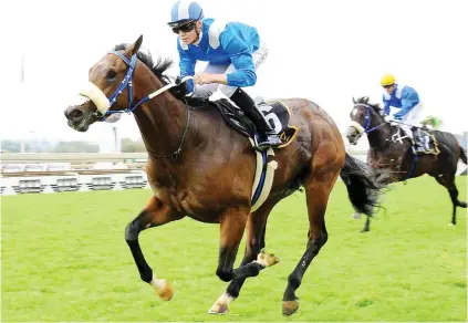  ??  ?? BAD DRAW. Mustaaqeem has been entered in Gauteng Guineas at Turffontei­n on 3 March but has drawn widest of the 23 nomination­s.