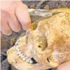  ?? DAI ?? A reconstruc­tion shows how skulls may have been modified at Gobekli Tepe in Turkey.