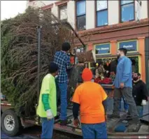  ??  ?? The 2017Troy Christmas tree gets delivered.