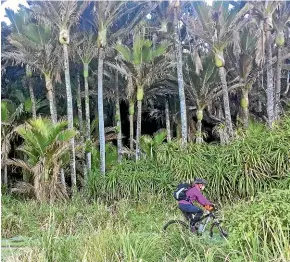  ??  ?? Between its wilderness scenery, natural wonders and mostly friendly terrain, the Heaphy Track is up there with the best.