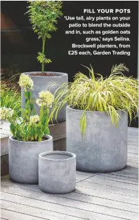  ??  ?? FILL YOUR POTS ‘USE TALL, AIRY PLANTS ON YOUR PATIO TO BLEND THE OUTSIDE AND IN, SUCH AS GOLDEN OATS GRASS,’ SAYS SELINA. BROCKWELL PLANTERS, FROM £25 EACH, GARDEN TRADING