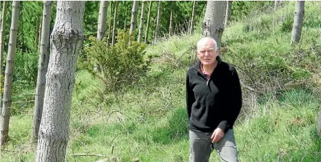  ??  ?? Otorohanga farm forester Malcolm Mackenzie says more hill country should be under trees, not pasture.