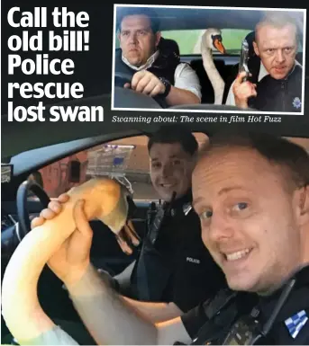  ??  ?? Swanning about: The scene in film Hot Fuzz Flying squad: PC Jamie Payne (front) and colleague with fugitive bird Sam