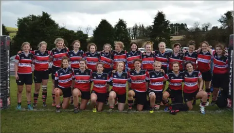  ??  ?? The Wicklow team who defeated Gorey in dramatic circumstan­ces last weekend.