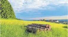  ?? FOTO: LEN ?? Bis zu 108 Wohnungen könnten am Hüttenberg­er Weg gebaut werden. Die Stadt geht aber von maximal 70 Wohneinhei­ten aus.