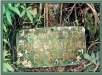  ??  ?? The site of the historic Mahogany tree