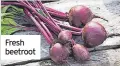  ?? ?? Fresh beetroot