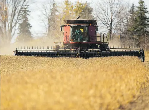  ?? MIKE HENSEN / THE LONDON FREE PRESS FILES ?? As a farmer, Toban Dyck wishes government would “take the time to understand what is we do and the conditions in which we work.”