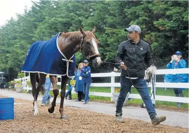  ?? PATRICK SEMANSKY/ASSOCIATED PRESS ?? Preakness contender Good Magic walks into his barn after being washed Friday at Pimlico Race Course in Baltimore.