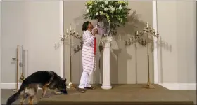  ?? DAVID GOLDMAN - THE ASSOCIATED PRESS ?? Tanya Britton waters the flowers on the altar with her dog, Sybil, by her side, while helping to prepare for Mass at St. James Catholic Church in Tupelo, Miss., May 24. Britton spent decades hoisting signs outside of abortion clinics, cajoling lawmakers at the statehouse and spreading her anti-abortion gospel to anyone who’d listen. She sees the Supreme Court’s action as the answer to decades of prayers.