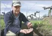  ?? PABLO COZZAGLIO / AFP ?? A man in charge of a vineyard holds earthworms in Chile on Aug 8.