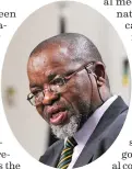  ?? ?? Gwede Mantashe