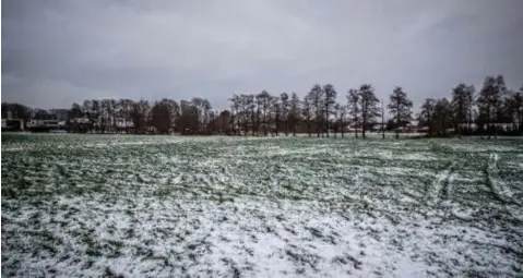  ?? FOTO RAYMOND LEMMENS ?? Het grootschal­ige project komt op de braakligge­nde weiden langs de Lindenstra­at.