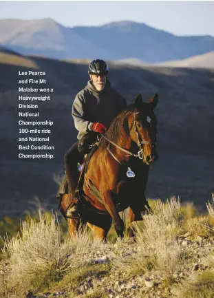  ??  ?? Lee Pearce and Fire Mt Malabar won a Heavyweigh­t Division National Championsh­ip 100-mile ride and National Best Condition Championsh­ip.