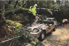  ?? AP ?? ■ Hopland Volunteer Fire Department chief Mitch Franklin cuts away a large oak tree that fell on a vehicle, moderately injuring the driver on Old River Road California on Saturday.