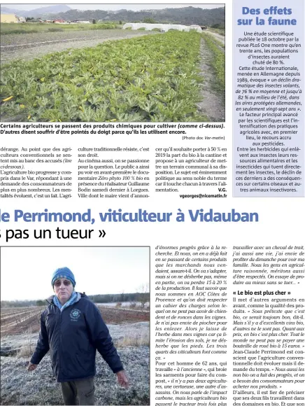  ?? (Photo Philipe Arnassan) (Photo doc Var-matin) ?? Certains agriculteu­rs se passent des produits chimiques pour cultiver (comme ci-dessus). D’autres disent souffrir d’être pointés du doigt parce qu’ils les utilisent encore. Jean-Claude Perrimond, ici dans ses vignes, en a marre des « reportages à...