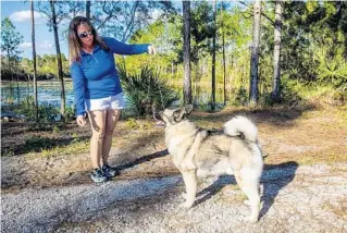  ?? PATRICK CONNOLLY ORLANDO SENTINEL PHOTOS IF YOU GO: ?? Vinden, a Norwegian elkhound, stands as he would for an American Kennel Club conformati­on event with his owner-handler Brooke Sunderman at Econ River Wilderness Area.
The AKC National Championsh­ip presented by Royal Canin is Saturday and Sunday at 9899 Internatio­nal Drive in Orlando. General admission tickets are $10, while children ages 12 and younger and active military get in for free. For tickets, more informatio­n and for a full schedule of events, visit akc.org.