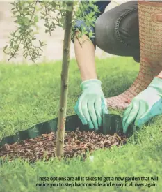  ?? ?? These options are all it takes to get a new garden that will entice you to step back outside and enjoy it all over again.