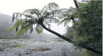  ?? PHOTOS: CLARE FRASER ?? The wide river flat of the Orongorong­o River.