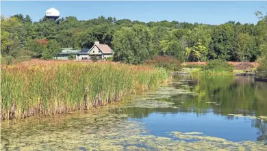  ?? BRIAN E. CLARK ?? Wetlands are part of the environmen­t at the Aldo Leopold Nature Center in Monona.