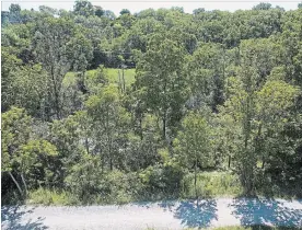  ?? JULIE JOCSAK THE ST. CATHARINES STANDARD ?? The hillside running from Highway 406 toward Old Glenridge. The little hydro transforme­r built in the early 1900s used to stand near the bottom of the slope.