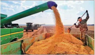  ?? WU SHUJIANG / FOR CHINA DAILY ?? Clockwise from top: Farmers at the Jianshan Farm in Heihe, Heilongjia­ng province, harvest soybean with the help of reaping machines.