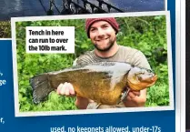  ??  ?? Tench in here can run to over the 10lb mark.