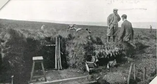  ?? ?? Daily bags in excess of 1,000 brace of grouse feature regularly in the Broomhead Moor records