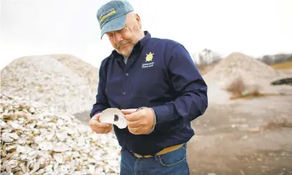  ?? STEPHEN M. KATZ/STAFF ?? Brent James, oyster restoratio­n coordinato­r for Lynnhaven River Now, examines one of the cured oysters, among a total of 13,000 bushels collected, from local restaurant­s and stored at the Virginia Beach landfill Friday.