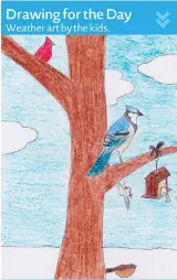  ??  ?? This is a drawing by Quleanja Laureijs from Amherst, N.S. Quleanja just had a birthday last Sunday! Happy birthday, Quleanja. She says this is a beautiful sunny day after the snowfall last week – and the birds are back enjoying their snack.