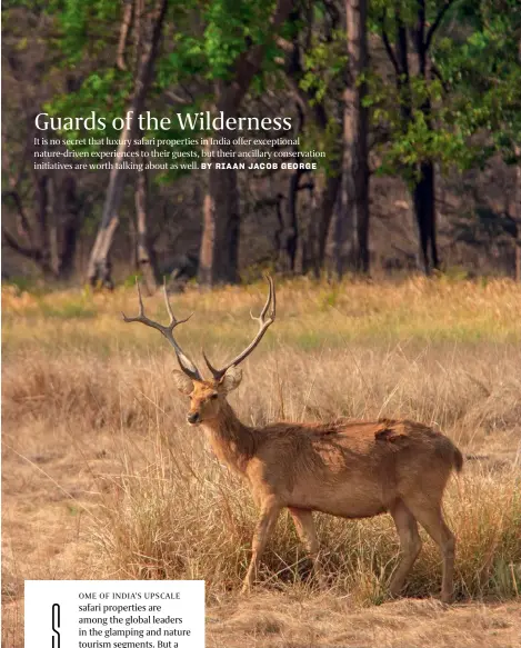  ??  ?? Jehan Numa Wilderness worked for the reintroduc­tion of the critically endangered barasingha to Satpura National Park.