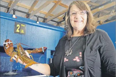  ?? ELIZABETH PATTERSON/CAPE BRETON POST ?? Marlene Brogan, manager at the Ballast Ground Fisheries in North Sydney, shows a still-frisky local lobster destined for someone’s plate. According to Brogan, the season so far has been good, with some of the year’s warmest weather opening the fishing...