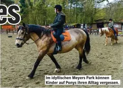  ??  ?? Im idyllische­n Oeyers Park können Kinder auf Ponys ihren Alltag vergessen.