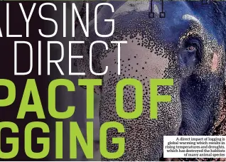  ??  ?? A direct impact of logging is global warming which results in rising temperatur­es and droughts, which has destroyed the habitats of many animal species