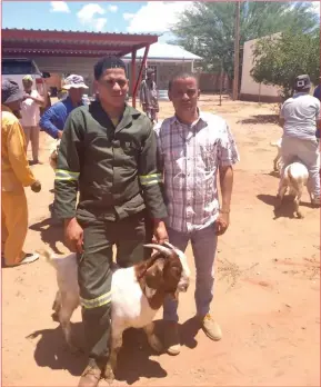  ?? Photo: Contribute­d ?? Confident… Former Keetmansho­op Rural councillor Gerrit Witbooi handing out goats to community members.